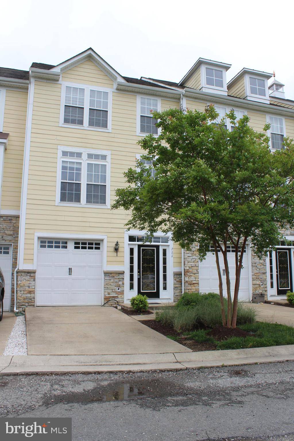 Colonial Beach, VA 22443,711 MONROE POINT #711