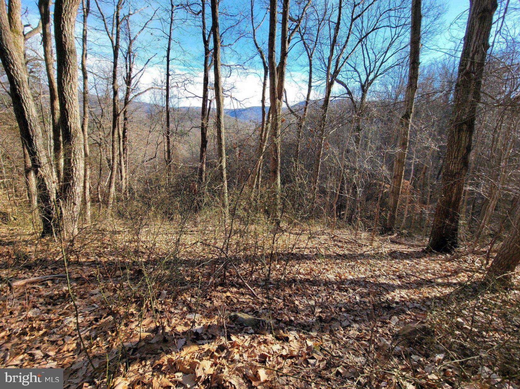 Bentonville, VA 22610,LOT 51A2 GOONEY MANOR LOOP