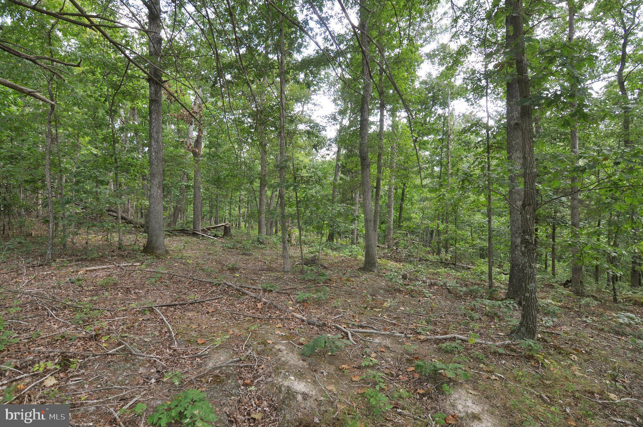 Gerrardstown, WV 25420,LOT 61 SLINGSHOT LN