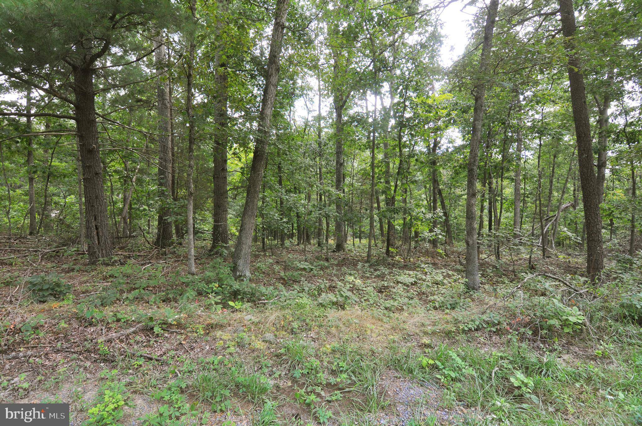 Gerrardstown, WV 25420,LOT 61 SLINGSHOT LN