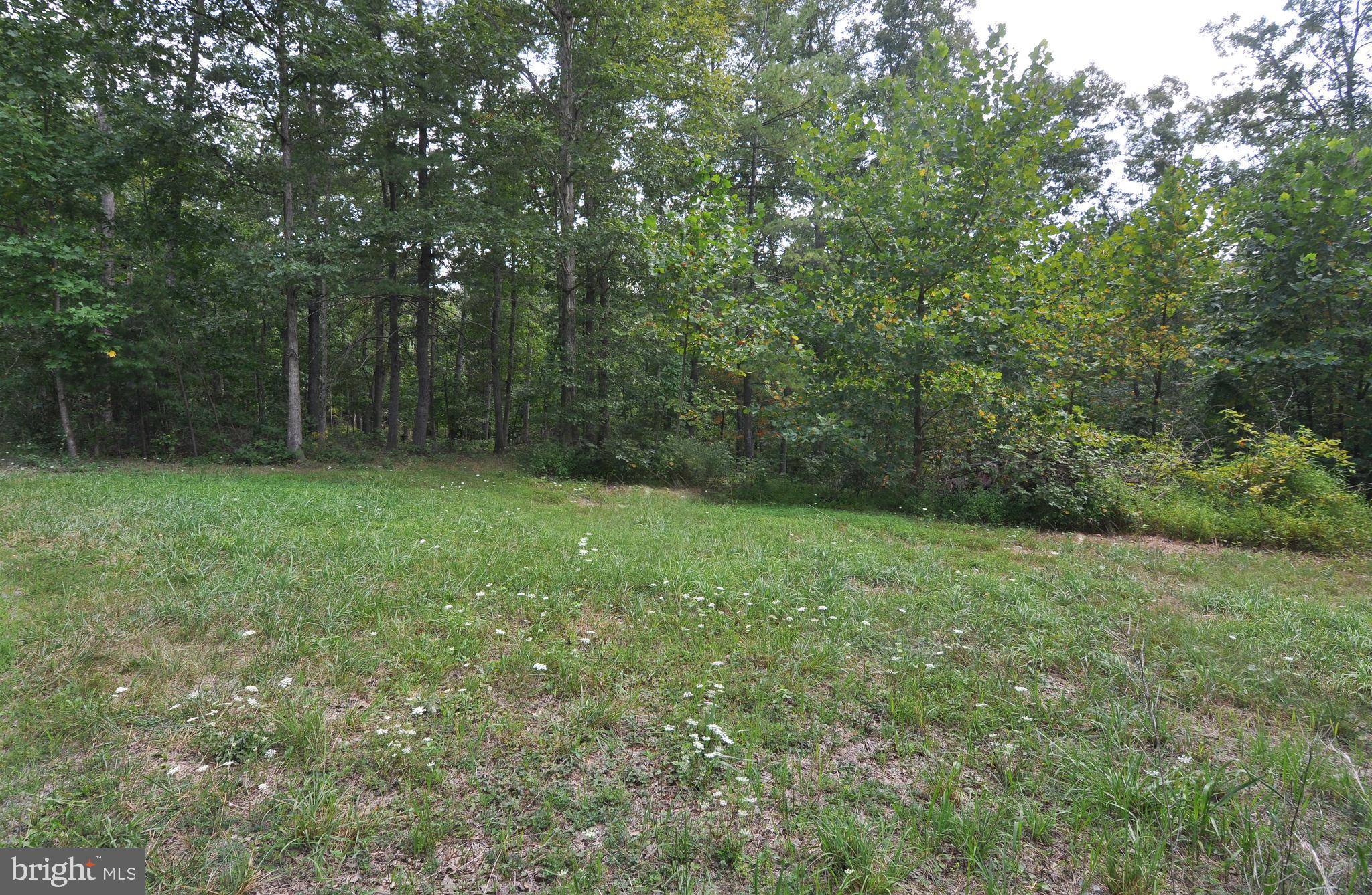 Gerrardstown, WV 25420,LOT 61 SLINGSHOT LN