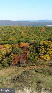 Mount Storm, WV 26739,JESSIE OURS ROAD