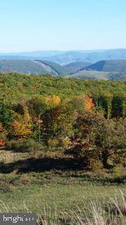 Mount Storm, WV 26739,JESSIE OURS ROAD