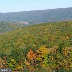 Mount Storm, WV 26739,JESSIE OURS ROAD