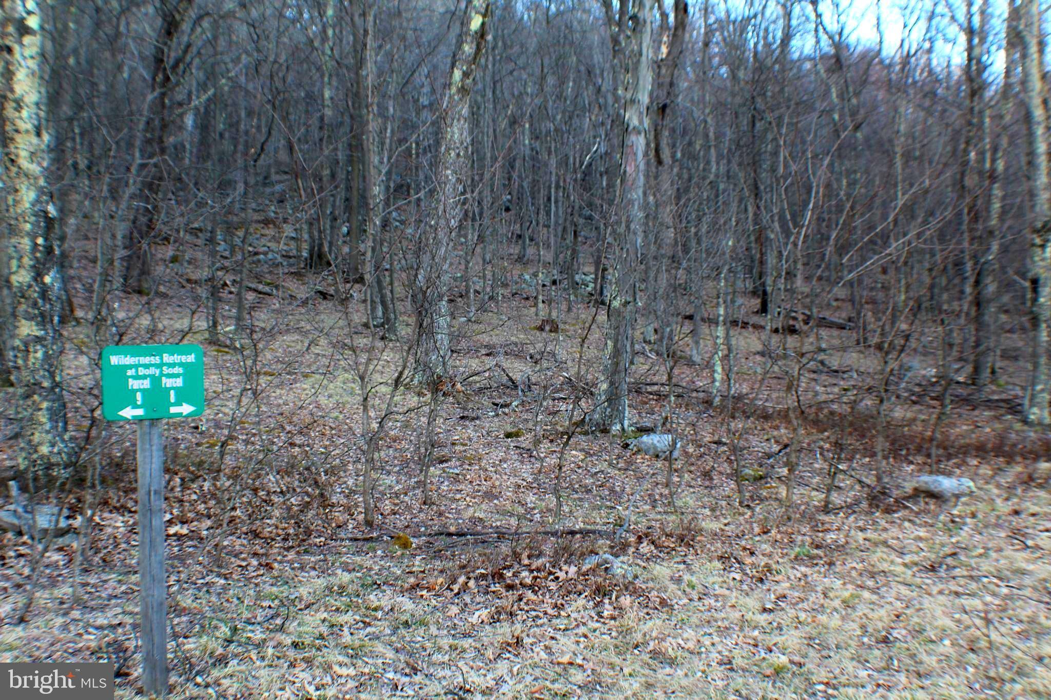 Maysville, WV 26833,LOT 8 SHAMROCK DRIVE