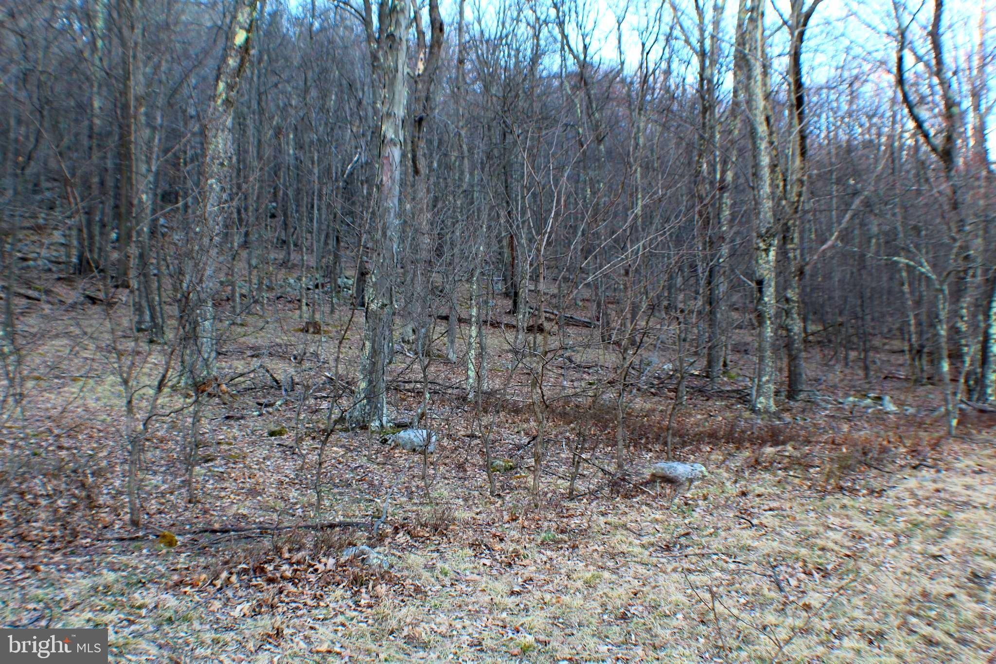 Maysville, WV 26833,LOT 8 SHAMROCK DRIVE