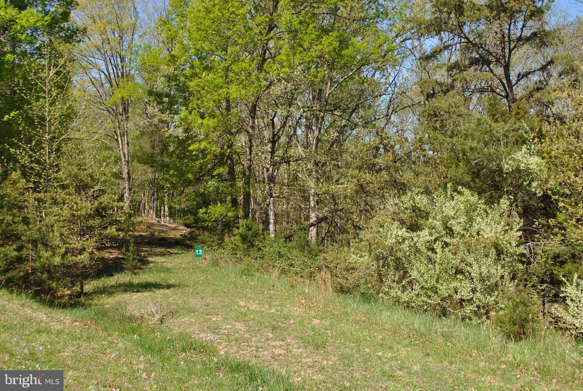 Petersburg, WV 26847,LOT #13 YEAGER CT SW