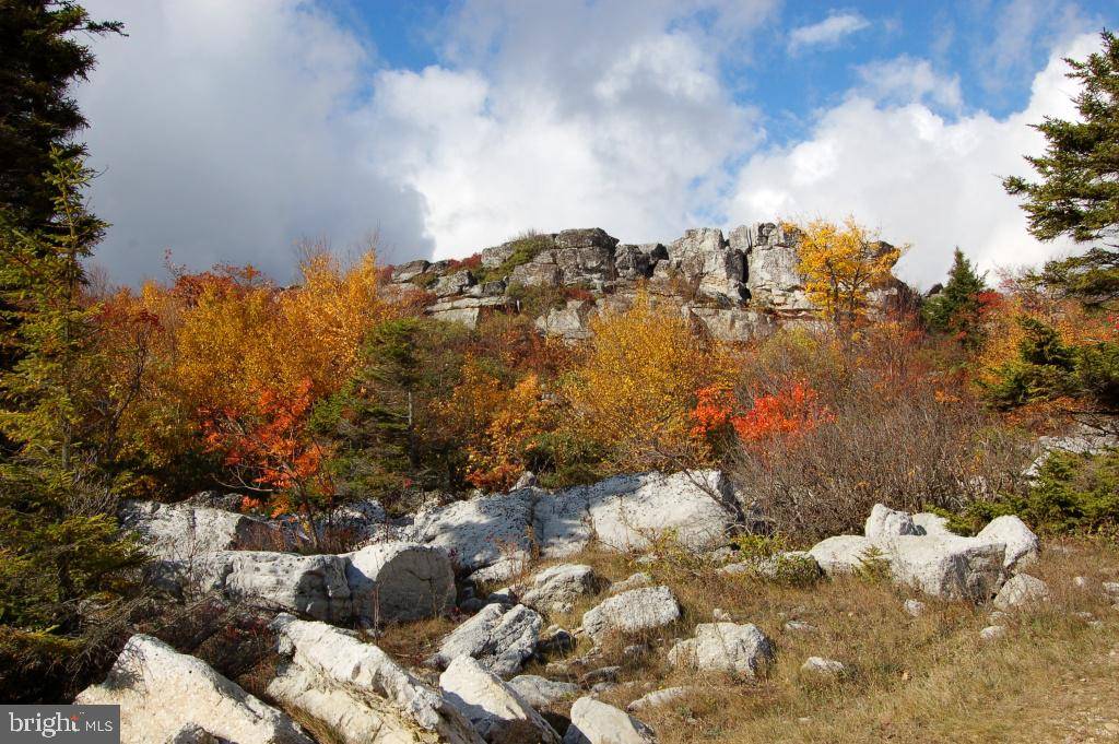 Mount Storm, WV 26739,LOT 50 DOLLY SODS RETREAT