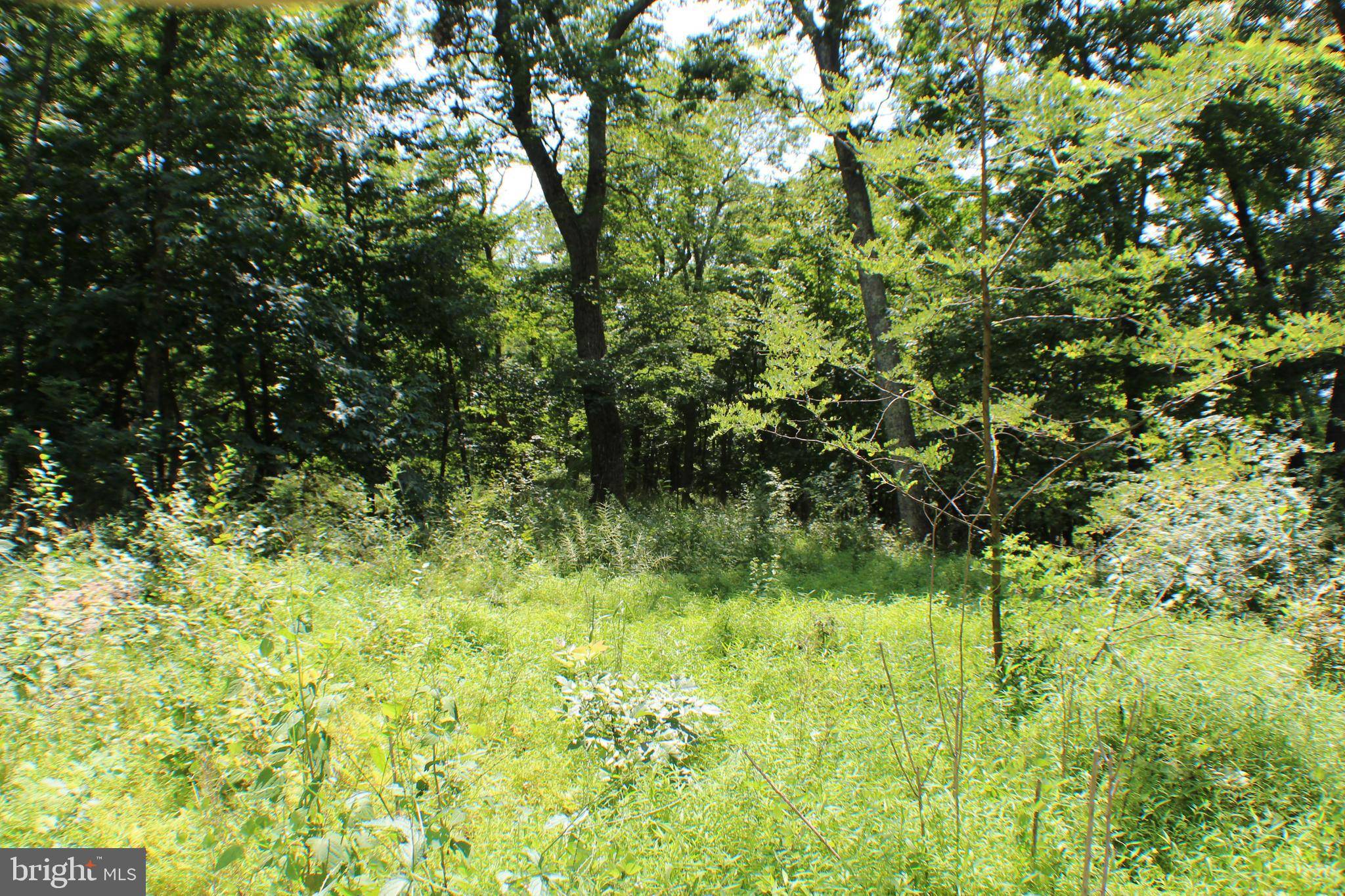 Old Fields, WV 26845,LOT 8 SEC 2 HIGH KNOB RD