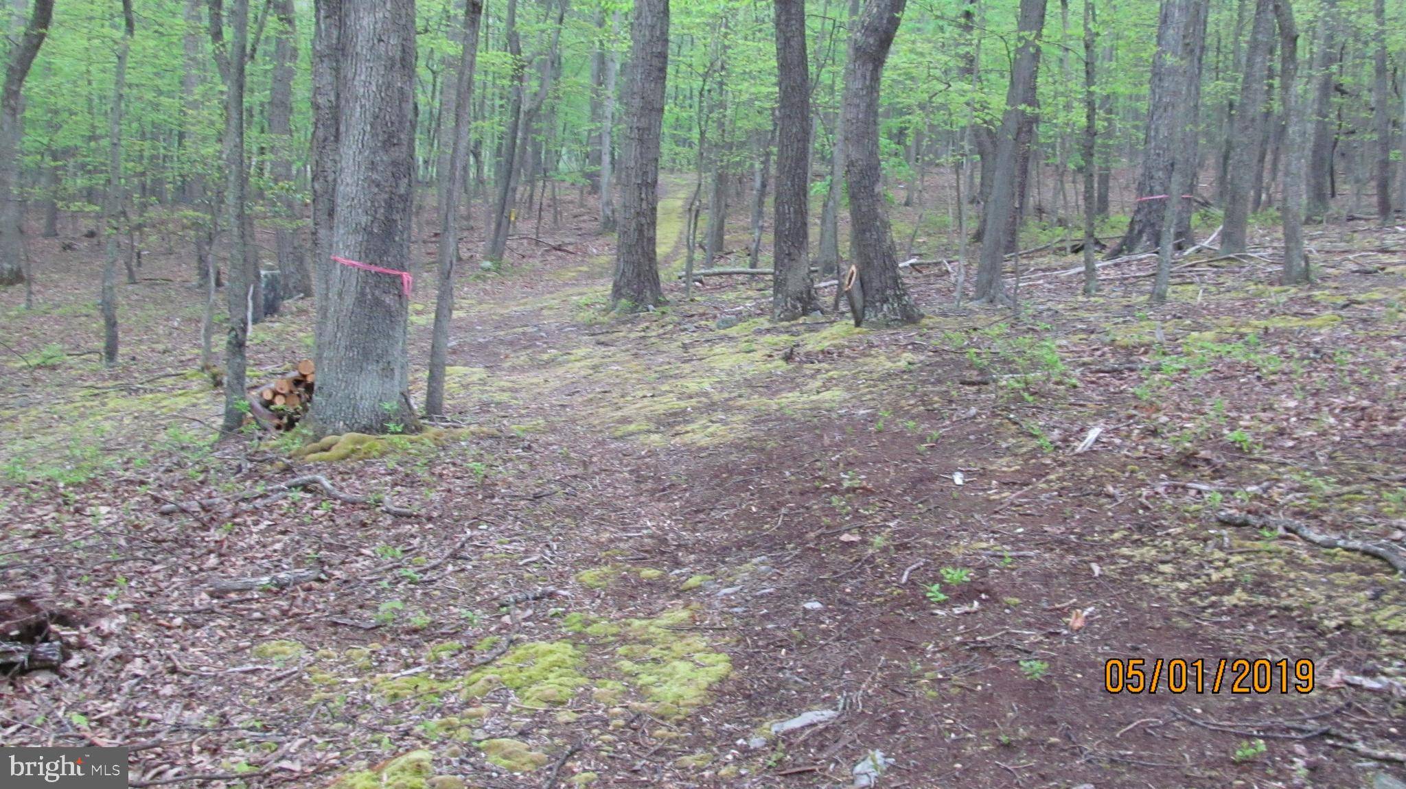 Bloomery, WV 26817,BROWN BEAR TRL