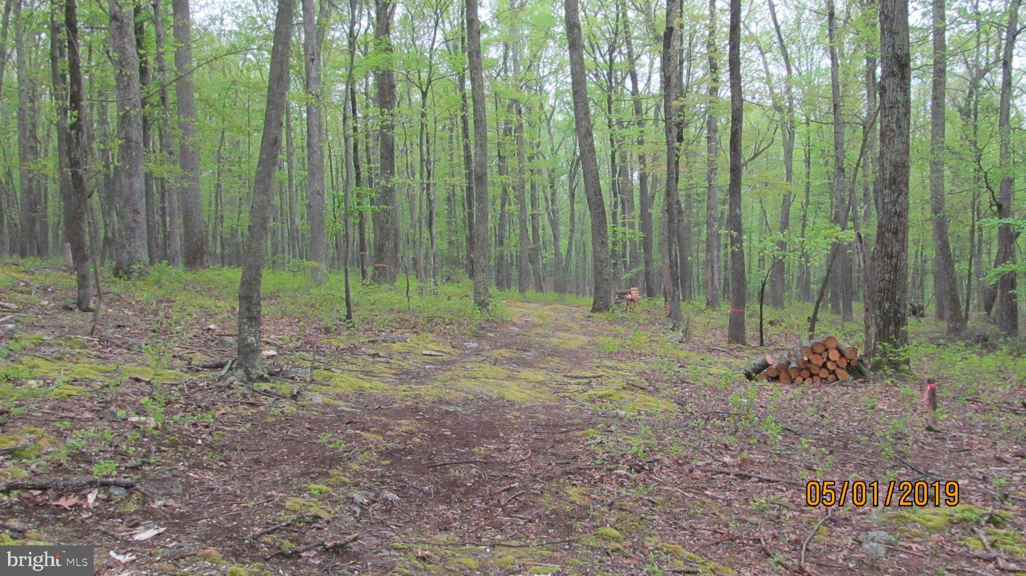 Bloomery, WV 26817,BROWN BEAR TRL