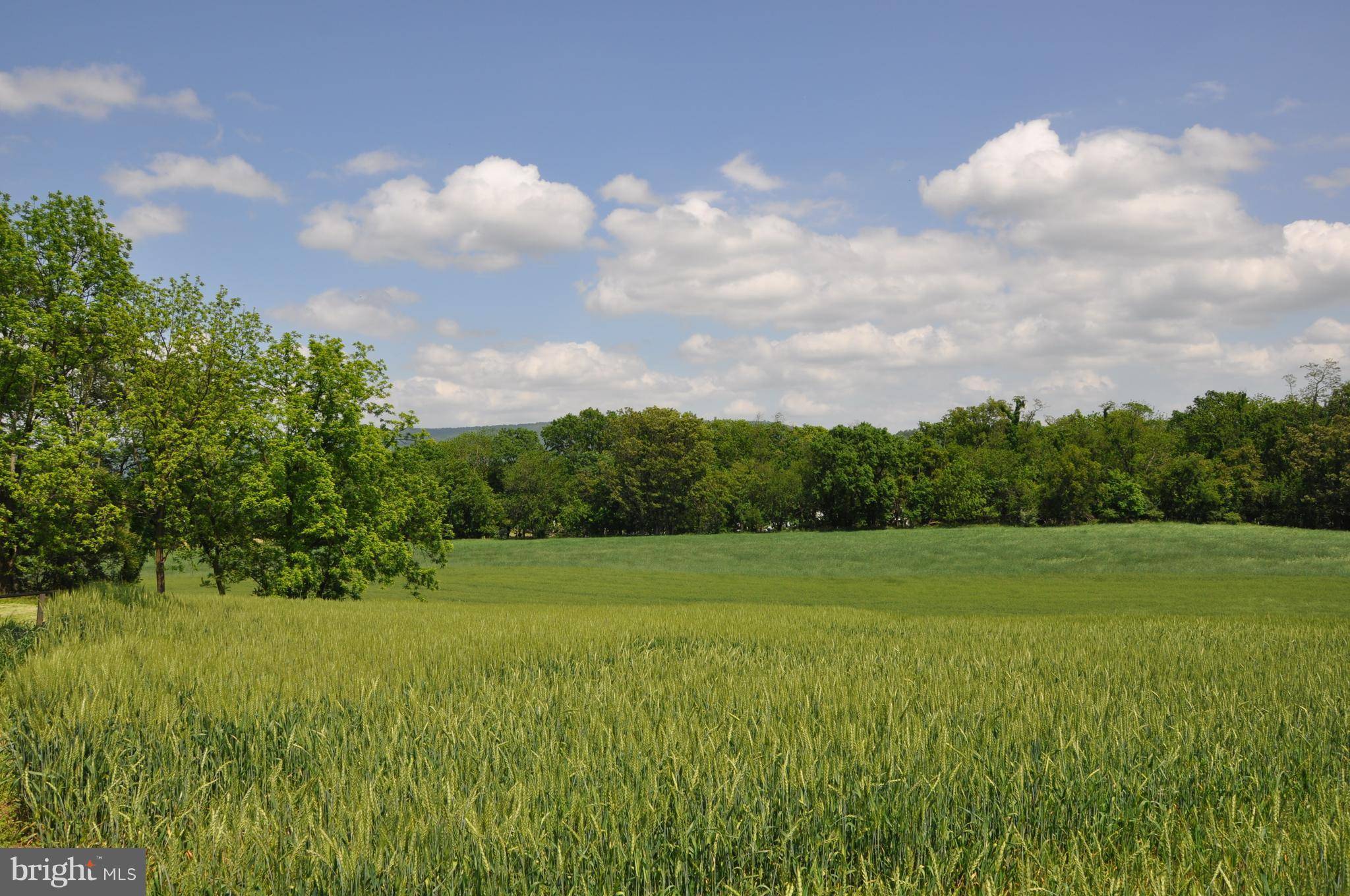 Harpers Ferry, WV 25425,OLD RIDER RD