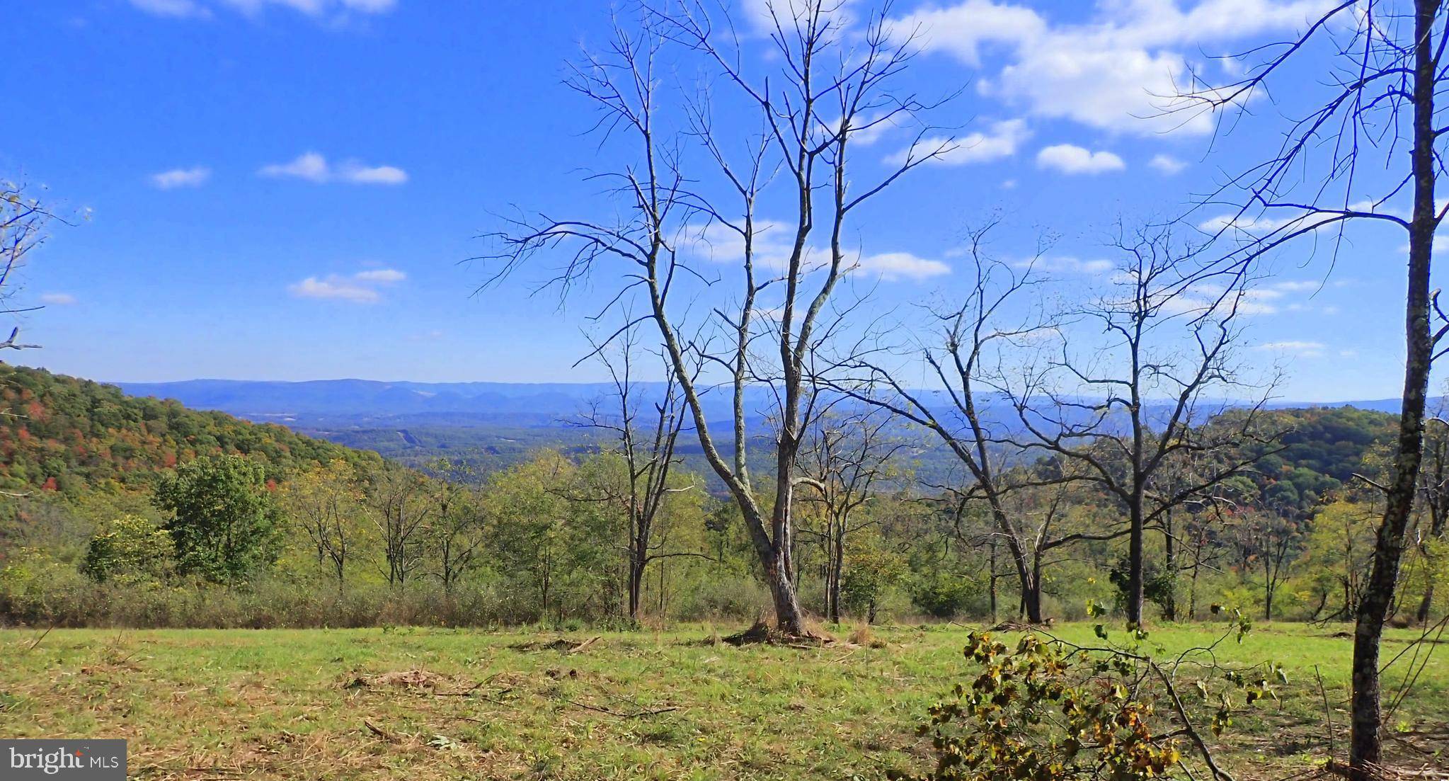 New Creek, WV 26743,NW CAMERON ORCHARD