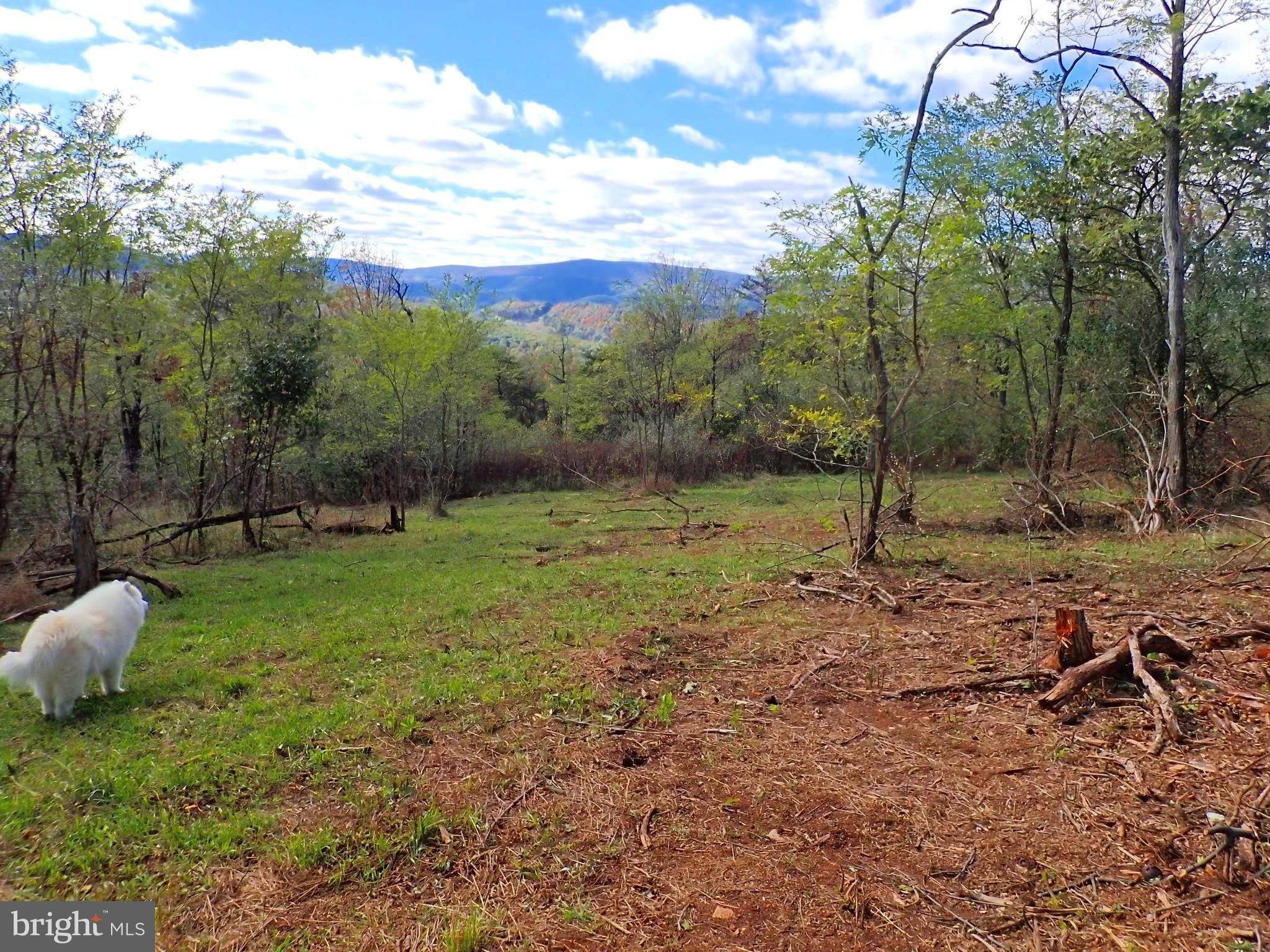 New Creek, WV 26743,NW CAMERON ORCHARD