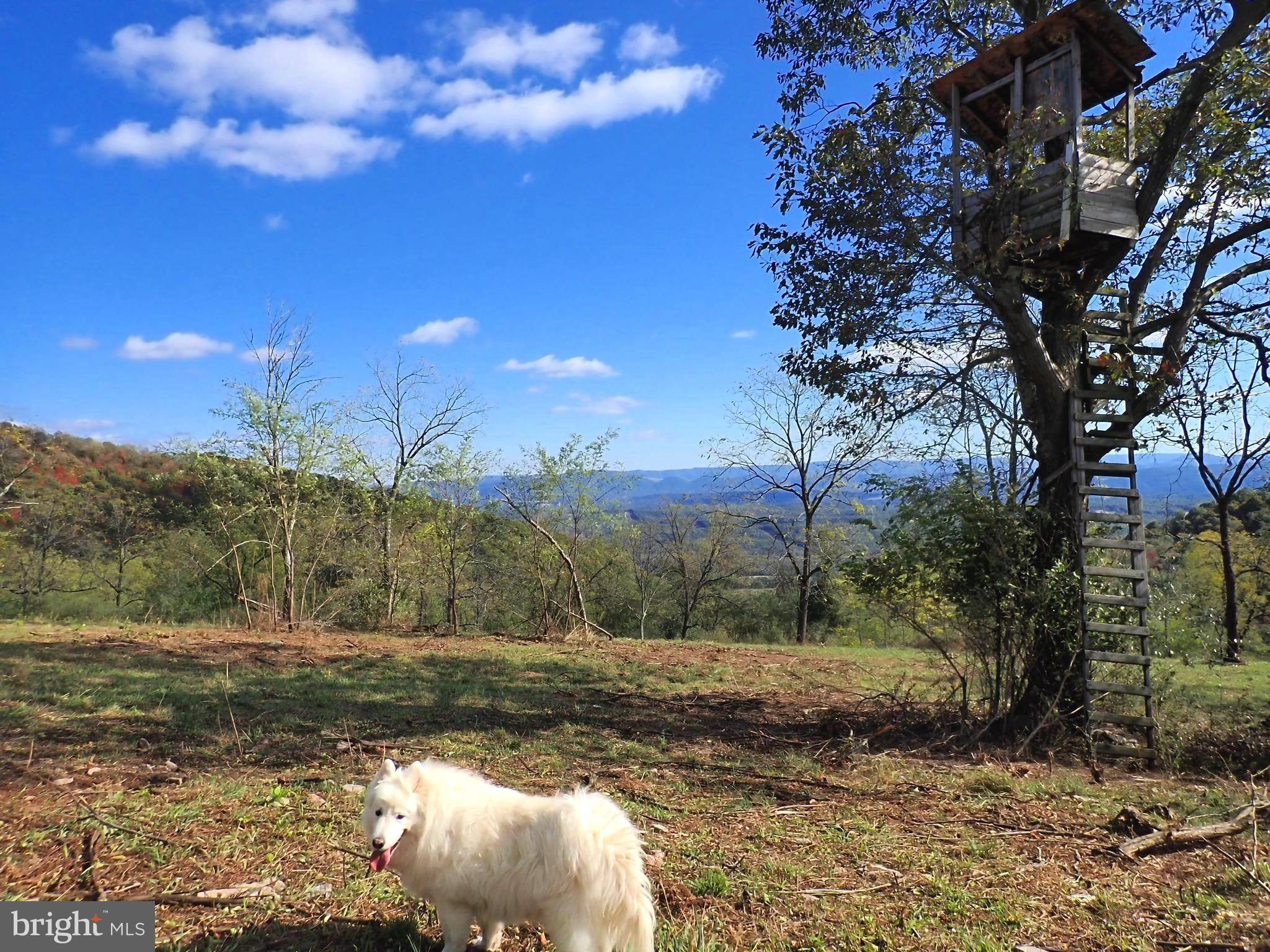 New Creek, WV 26743,NW CAMERON ORCHARD