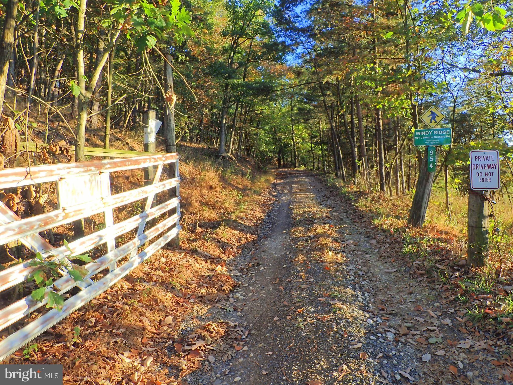 New Creek, WV 26743,SE CAMERON ORCHARD