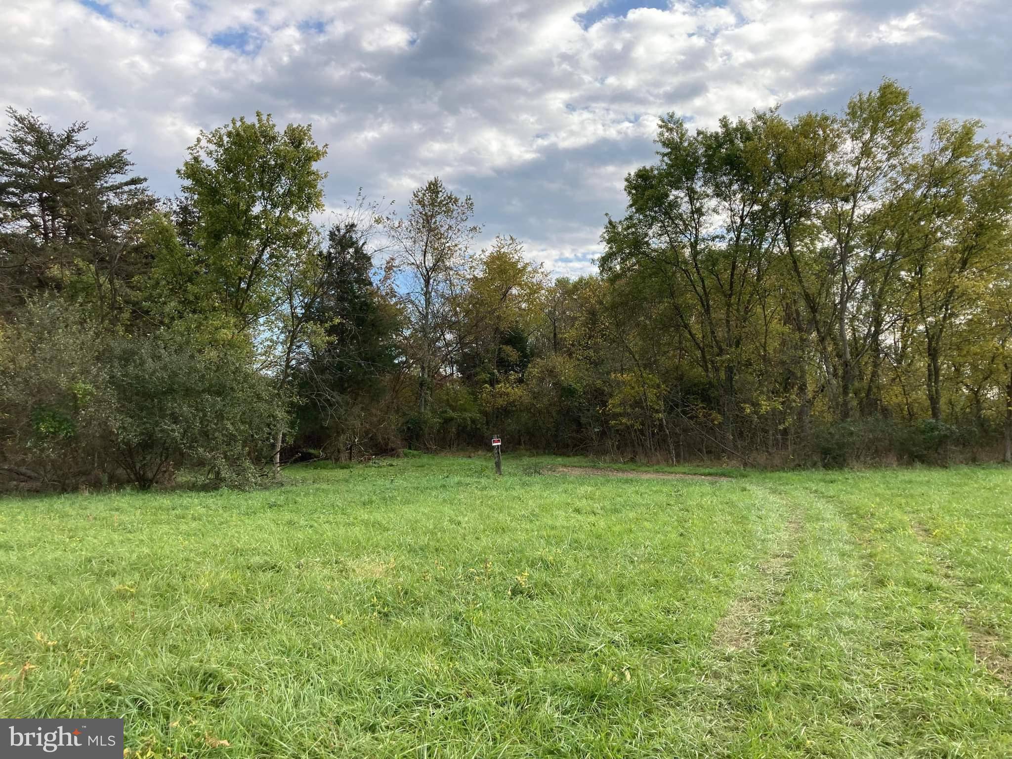 Fort Ashby, WV 26719,28/14 SUGAR MAPLE