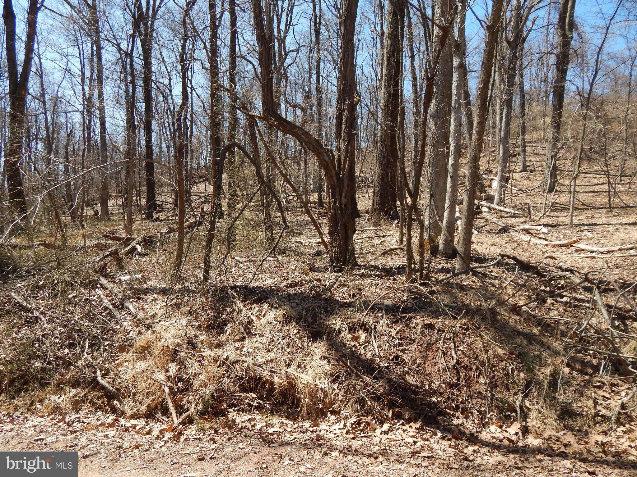 Hedgesville, WV 25427,LOT 27 MAVERICK TRAIL