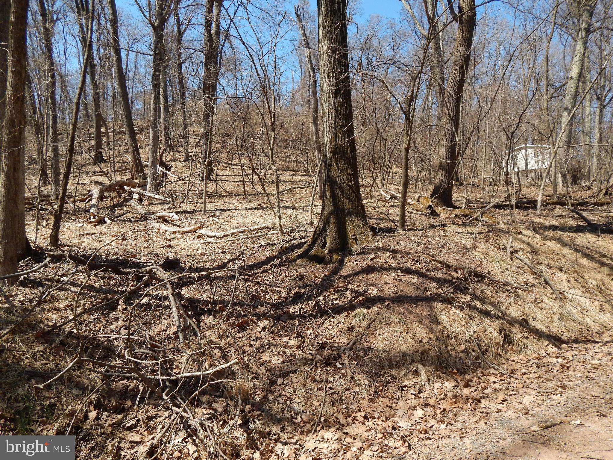 Hedgesville, WV 25427,LOT 27 MAVERICK TRAIL