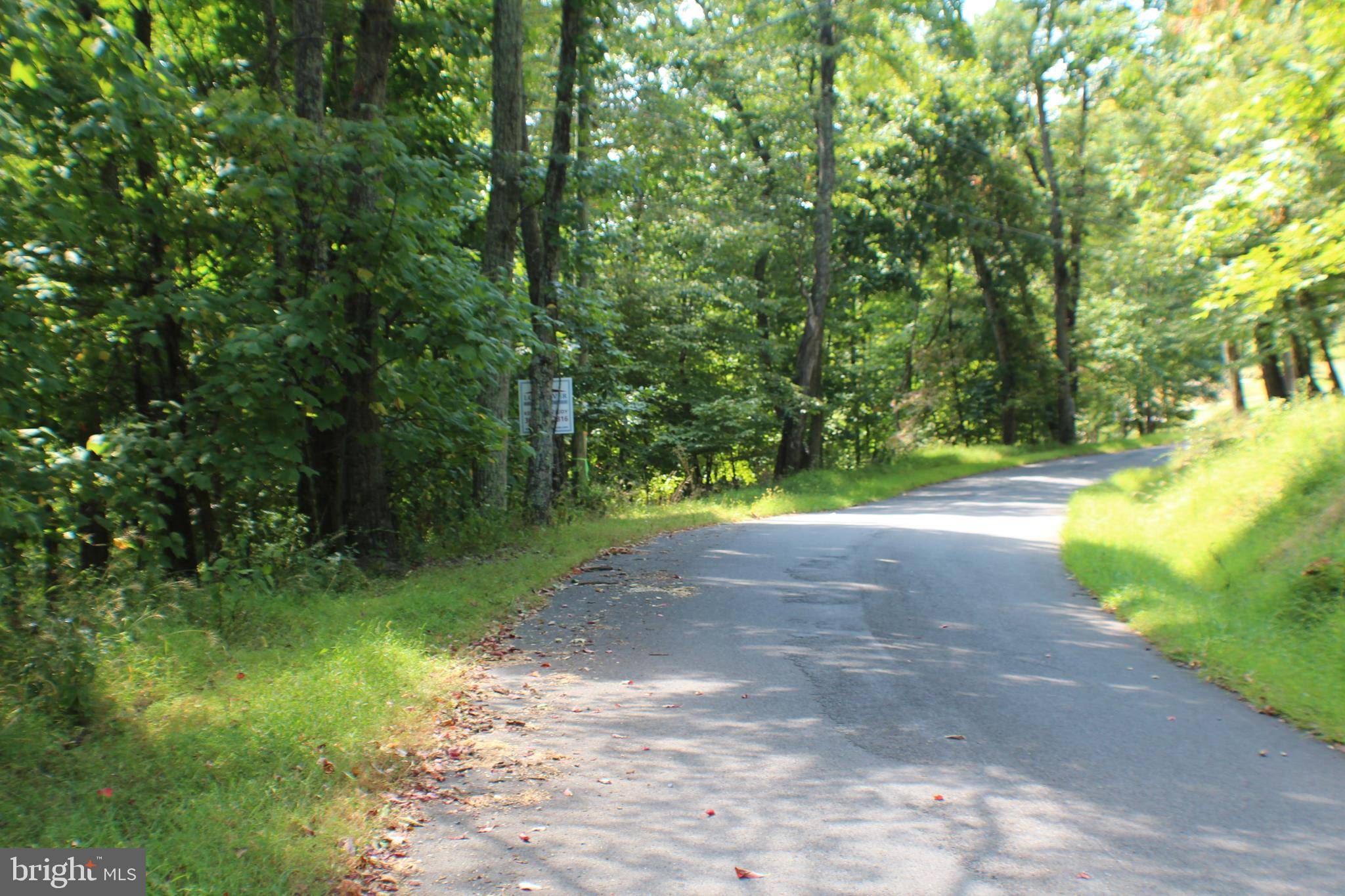 Upper Tract, WV 26866,LOT 28 CAVE MOUNTAIN RD