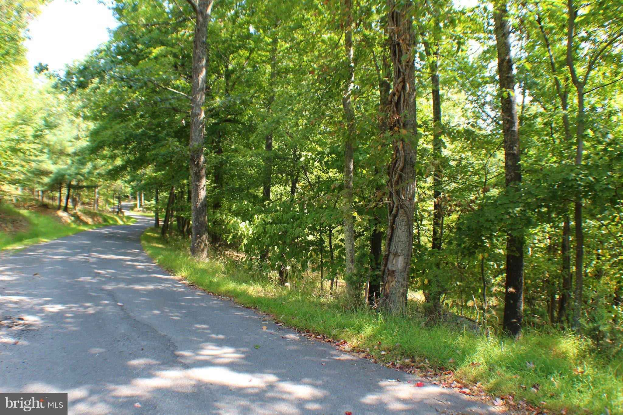 Upper Tract, WV 26866,LOT 28 CAVE MOUNTAIN RD