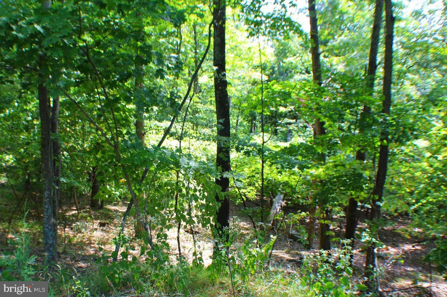 Upper Tract, WV 26866,LOT 28 CAVE MOUNTAIN RD