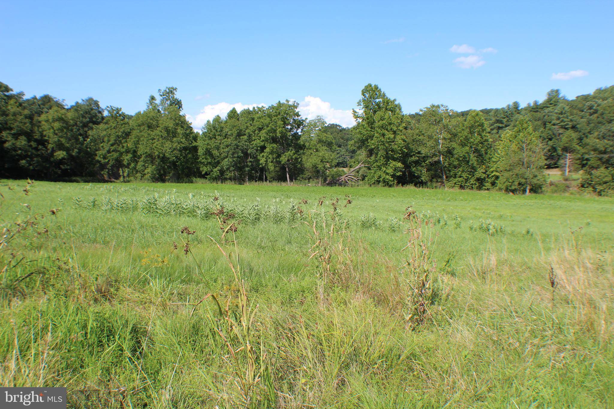 Upper Tract, WV 26866,6.33AC N MILL CREEK