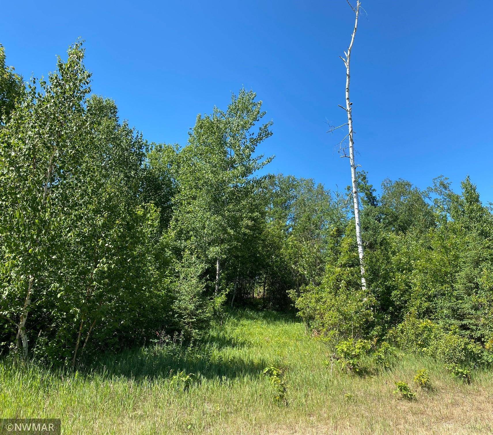 Bemidji, MN 56601,TBD (L10,B2) Grant Hills RD SW