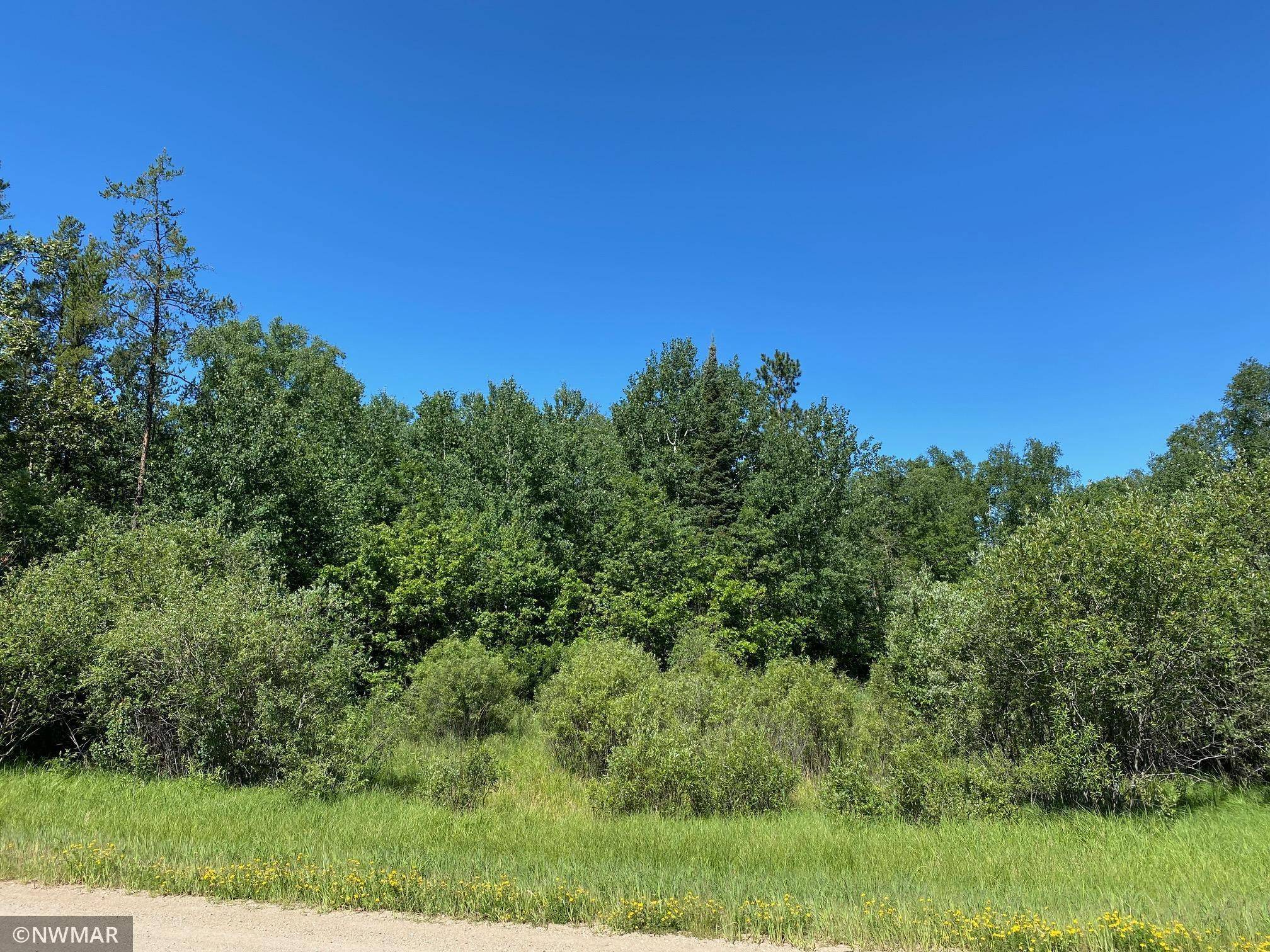 Bemidji, MN 56601,TBD (L11,B2) Grant Hills RD SW