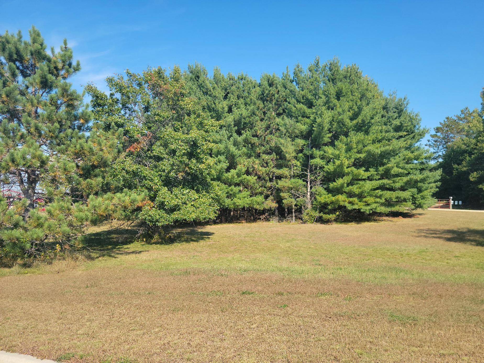 Boyceville, WI 54725,Lot 4 Charlotte St / Range Rd