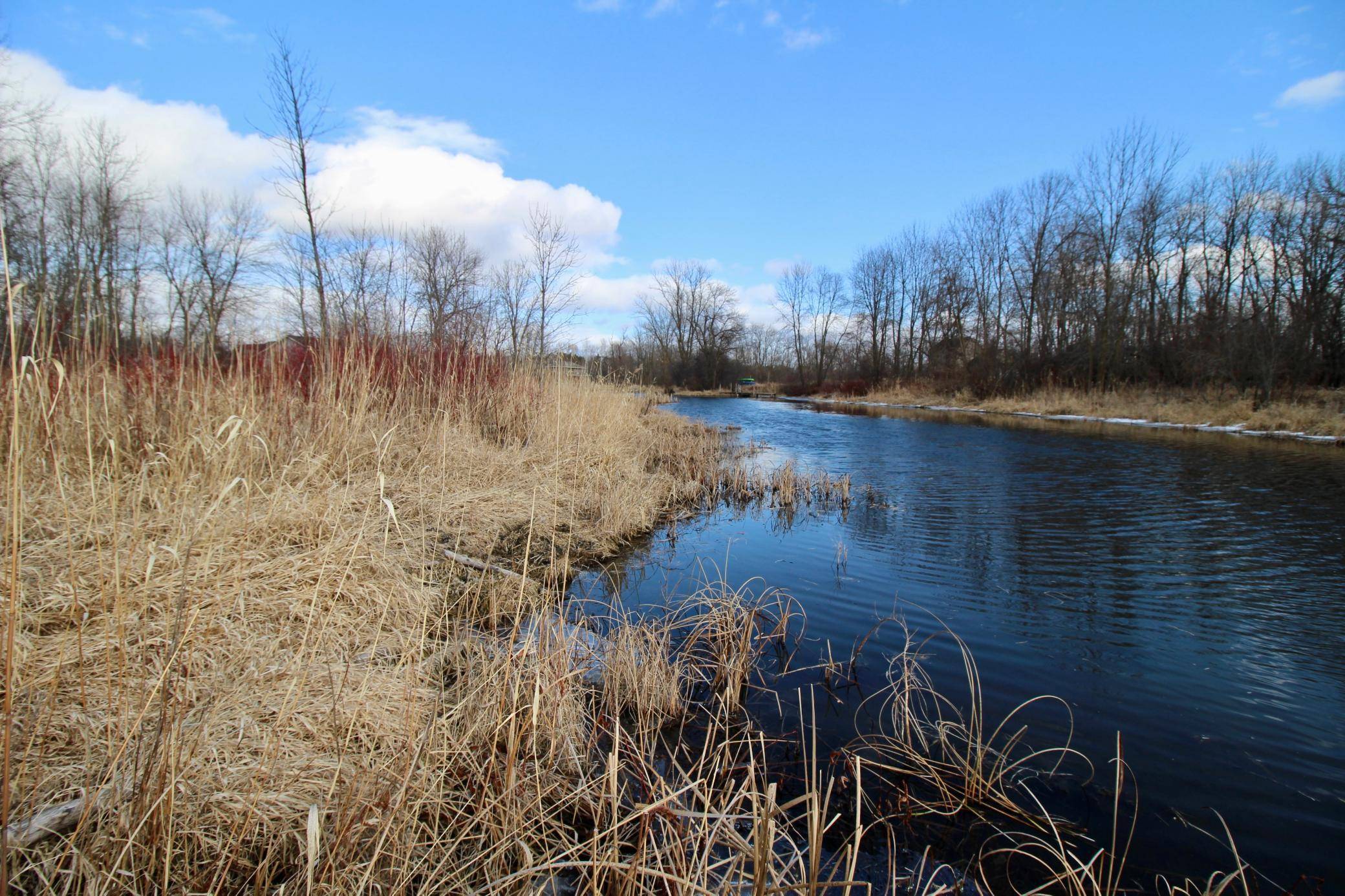 Rush City, MN 55069,TBD Rush Lake Road