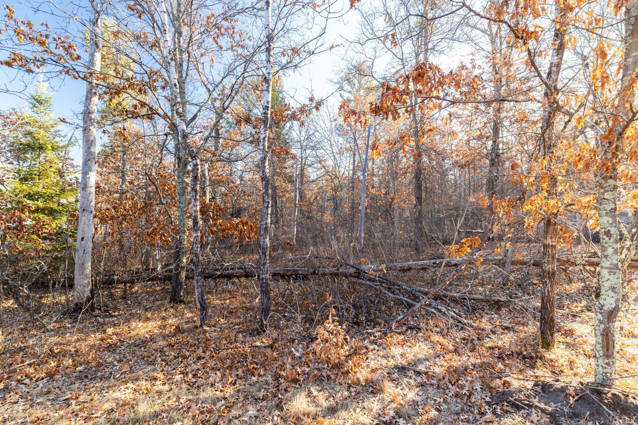 Baxter, MN 56425,TBD (L3B3) Scenic River Drive