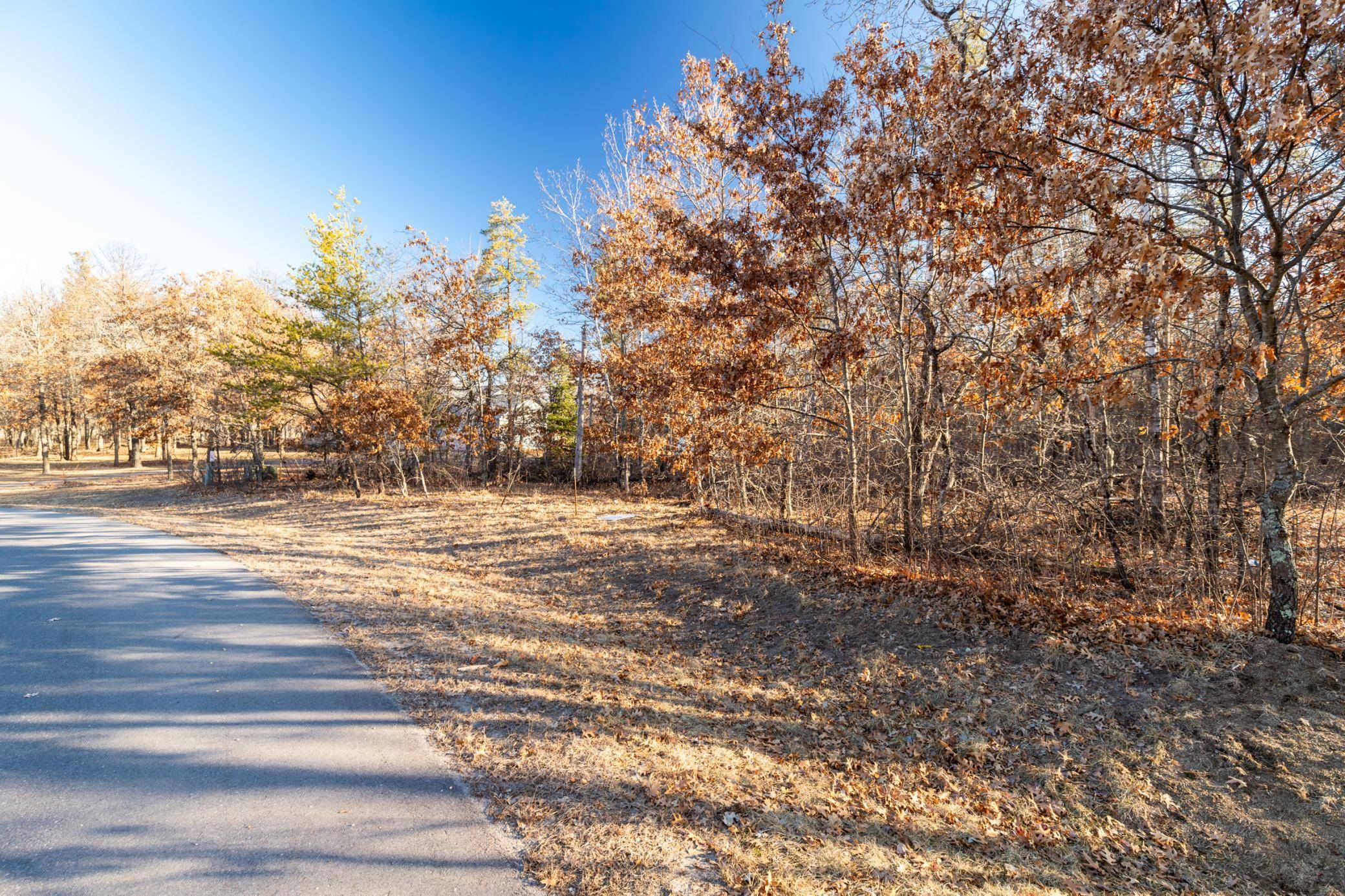 Baxter, MN 56425,TBD (L3B3) Scenic River Drive