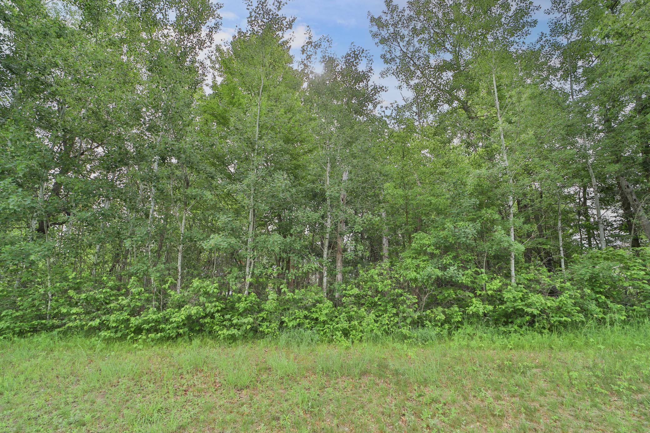 Baxter, MN 56425,Lot 1 Block 5 Knotty Pine DR