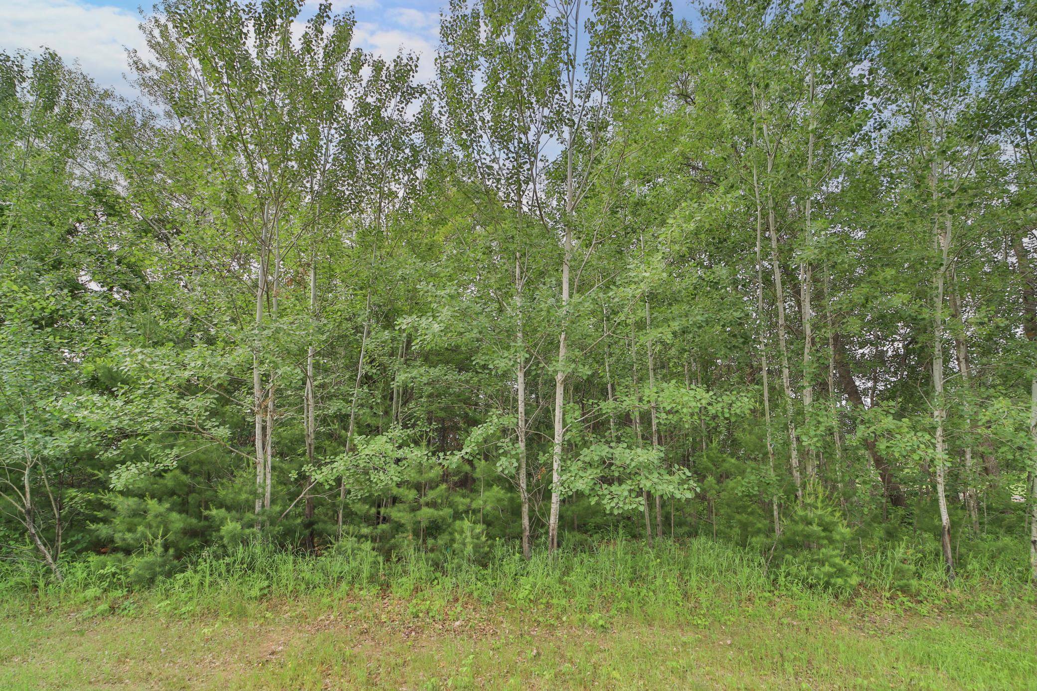 Baxter, MN 56425,Lot 1 Block 5 Knotty Pine DR