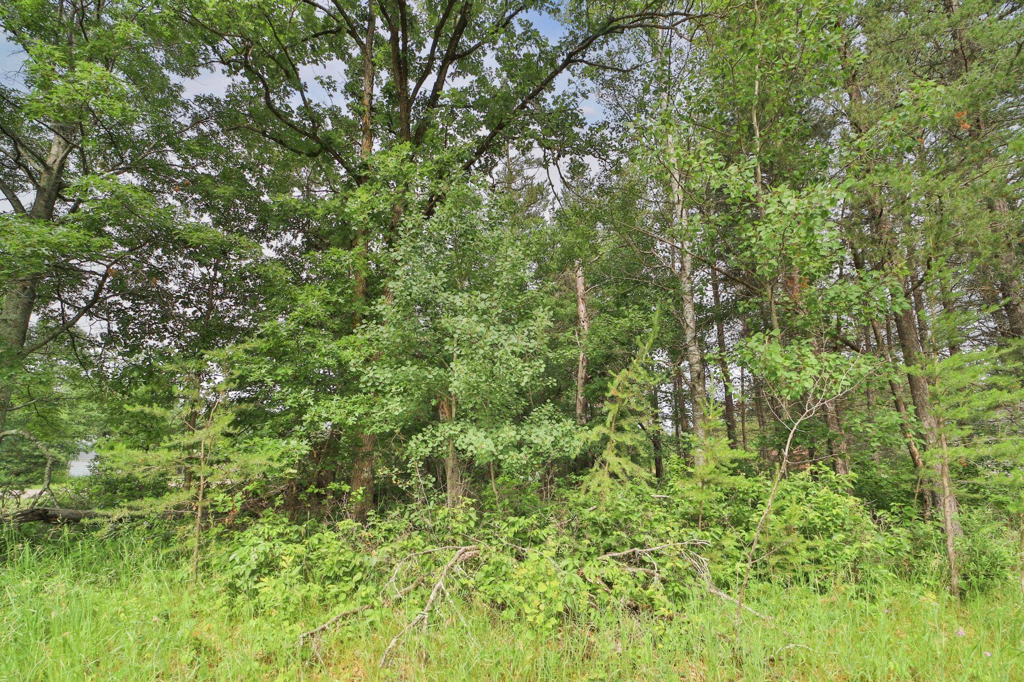 Baxter, MN 56425,Lot 10 Block 2 Knotty Pine DR