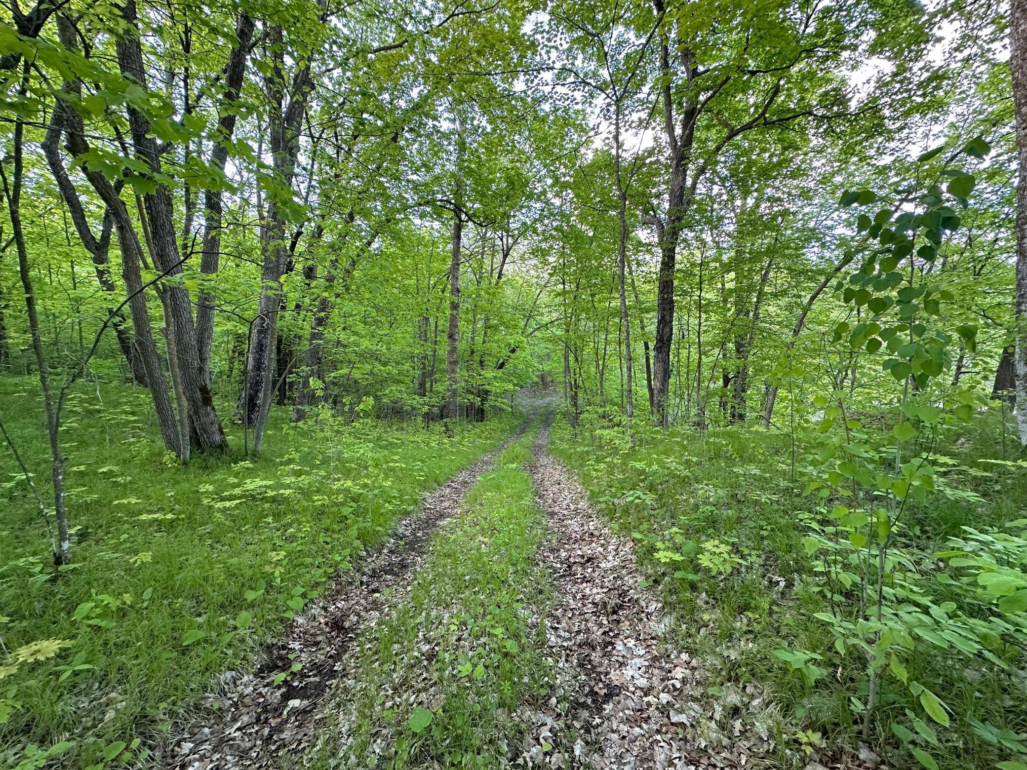 Osage, MN 56570,44698 Idas RD