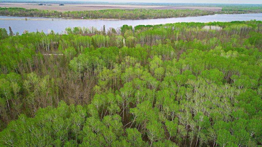 Baudette, MN 56623,Lot 7 - TBD Driftwood LN NW