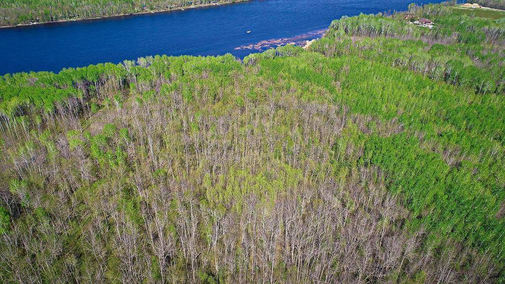 Baudette, MN 56623,Lot 11 - TBD Driftwood LN NW