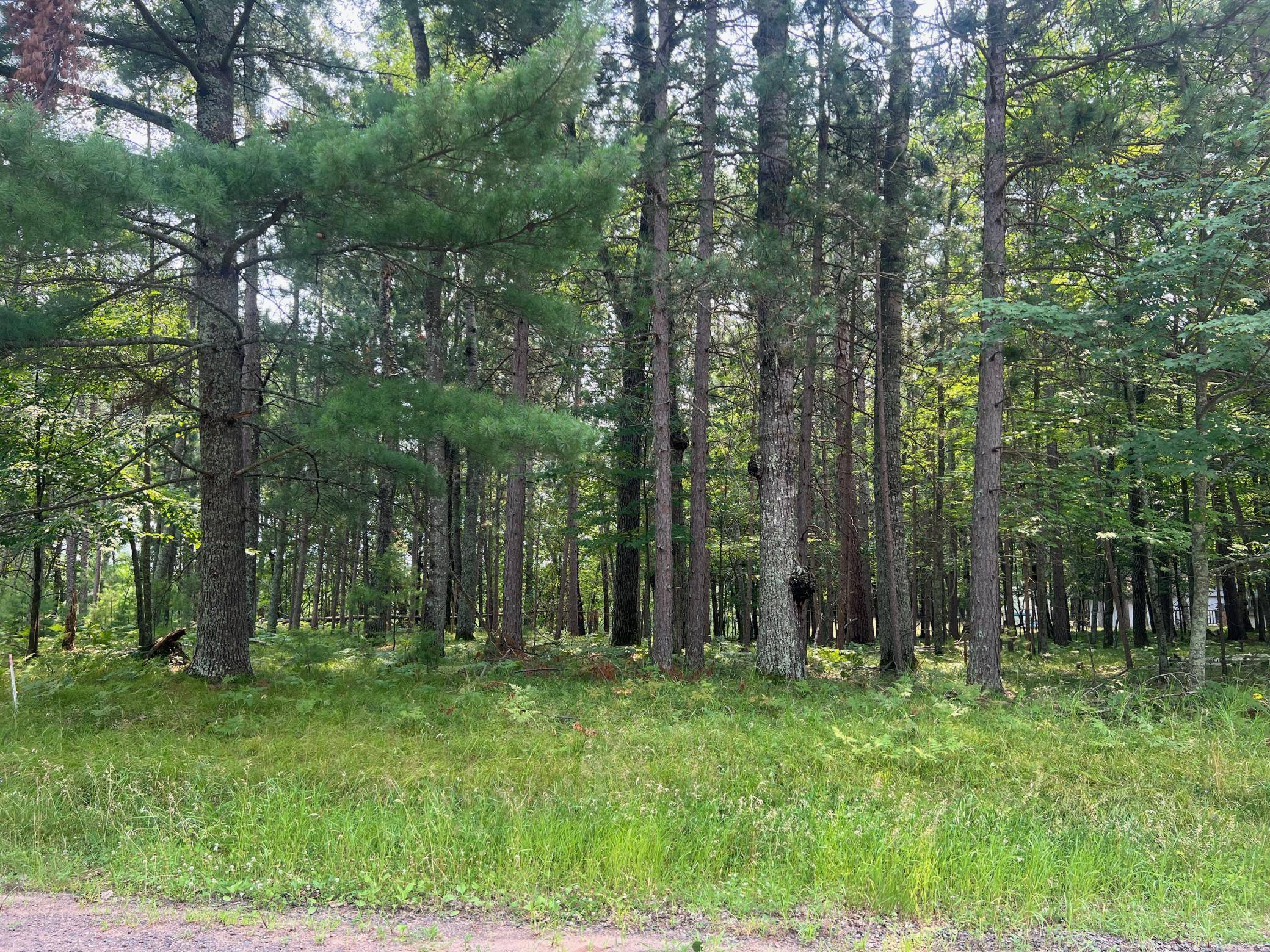 Danbury, WI 54830,Lot 111 Treasure Island RD