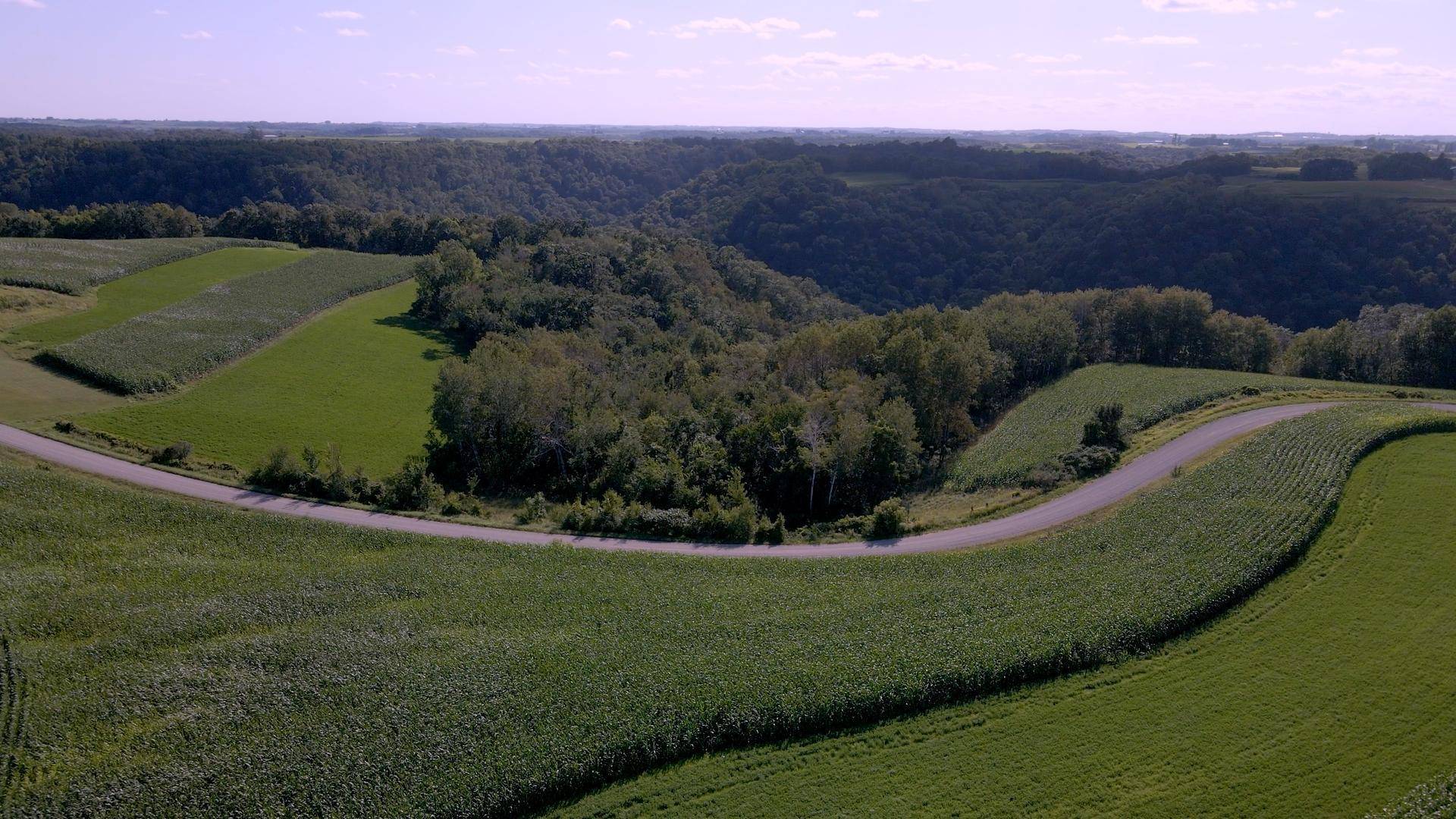 Caledonia, MN 55921,XXX Crazy Corners RD