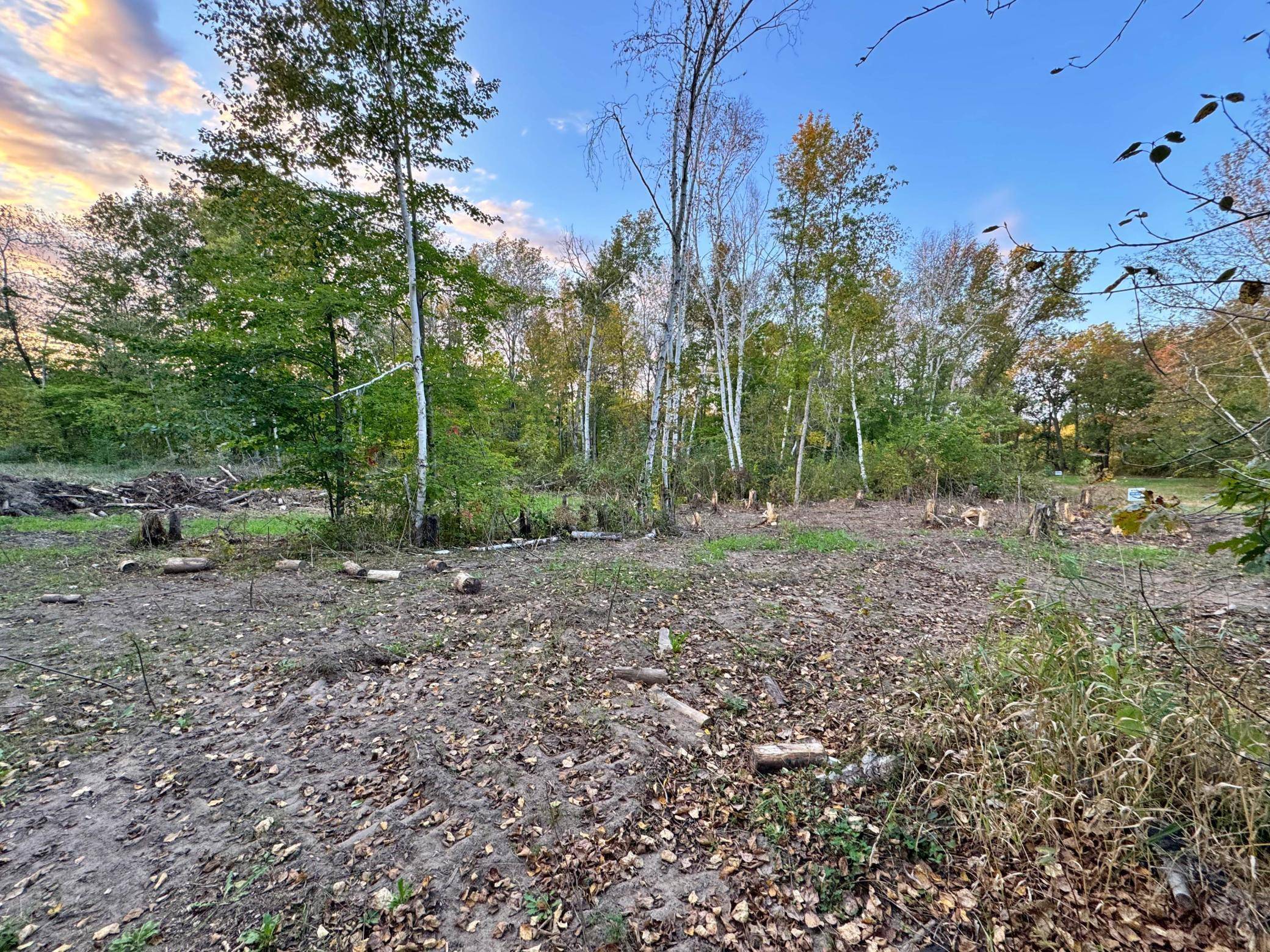 Garrison, MN 56450,XXX LOT D ASH CT