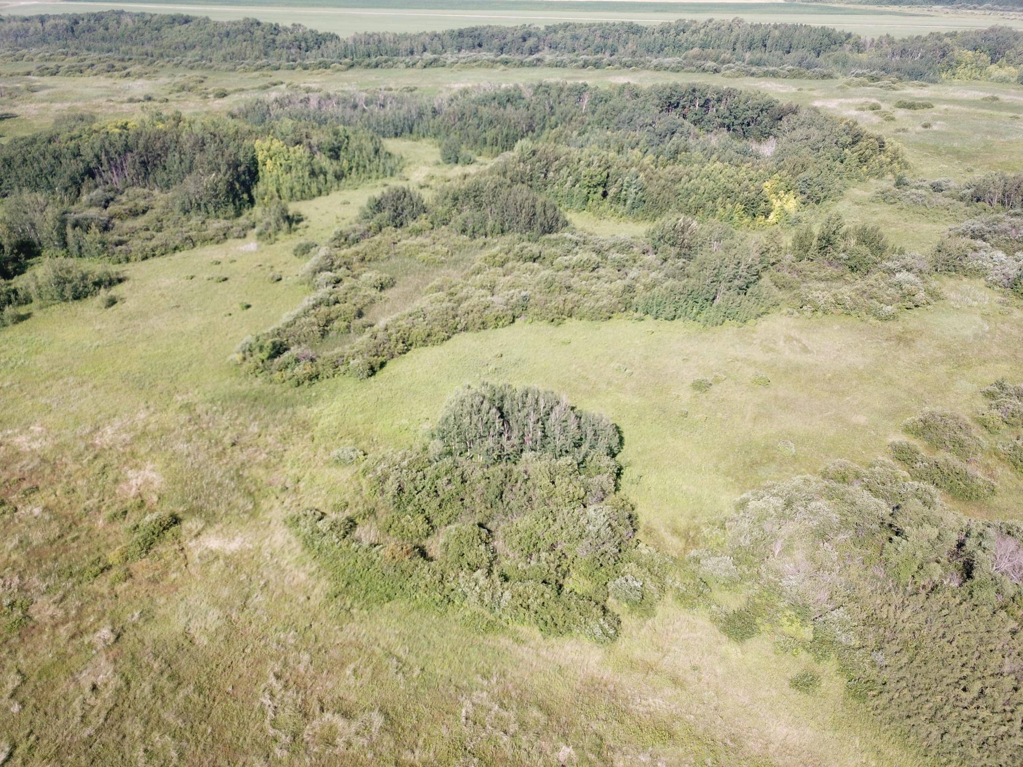 Thief River Falls, MN 56701,TBD 150th ST NW