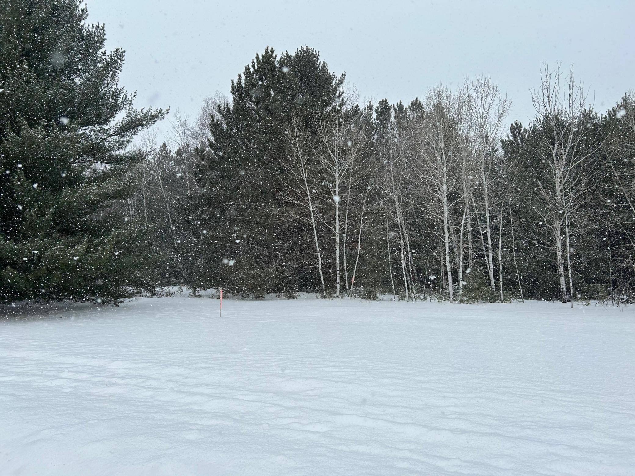 Iron River, WI 54847,Lot 4 North Shore DR