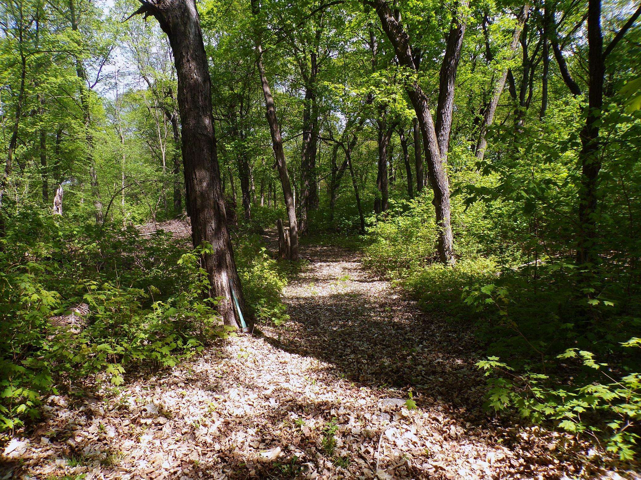Alexandria, MN 56308,0000 Mn-29 N