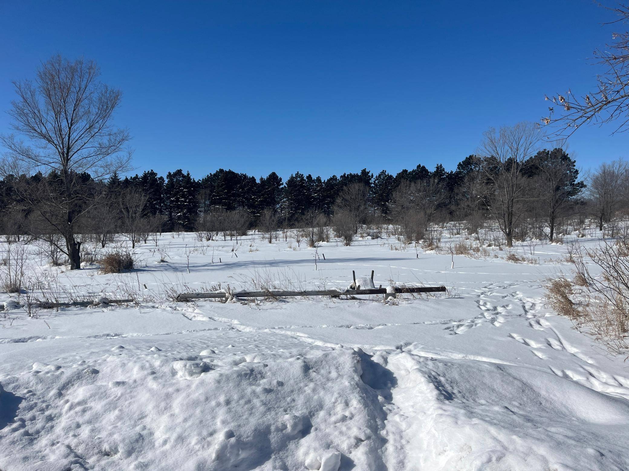 Battle Lake, MN 56515,21661 Schumacher DR