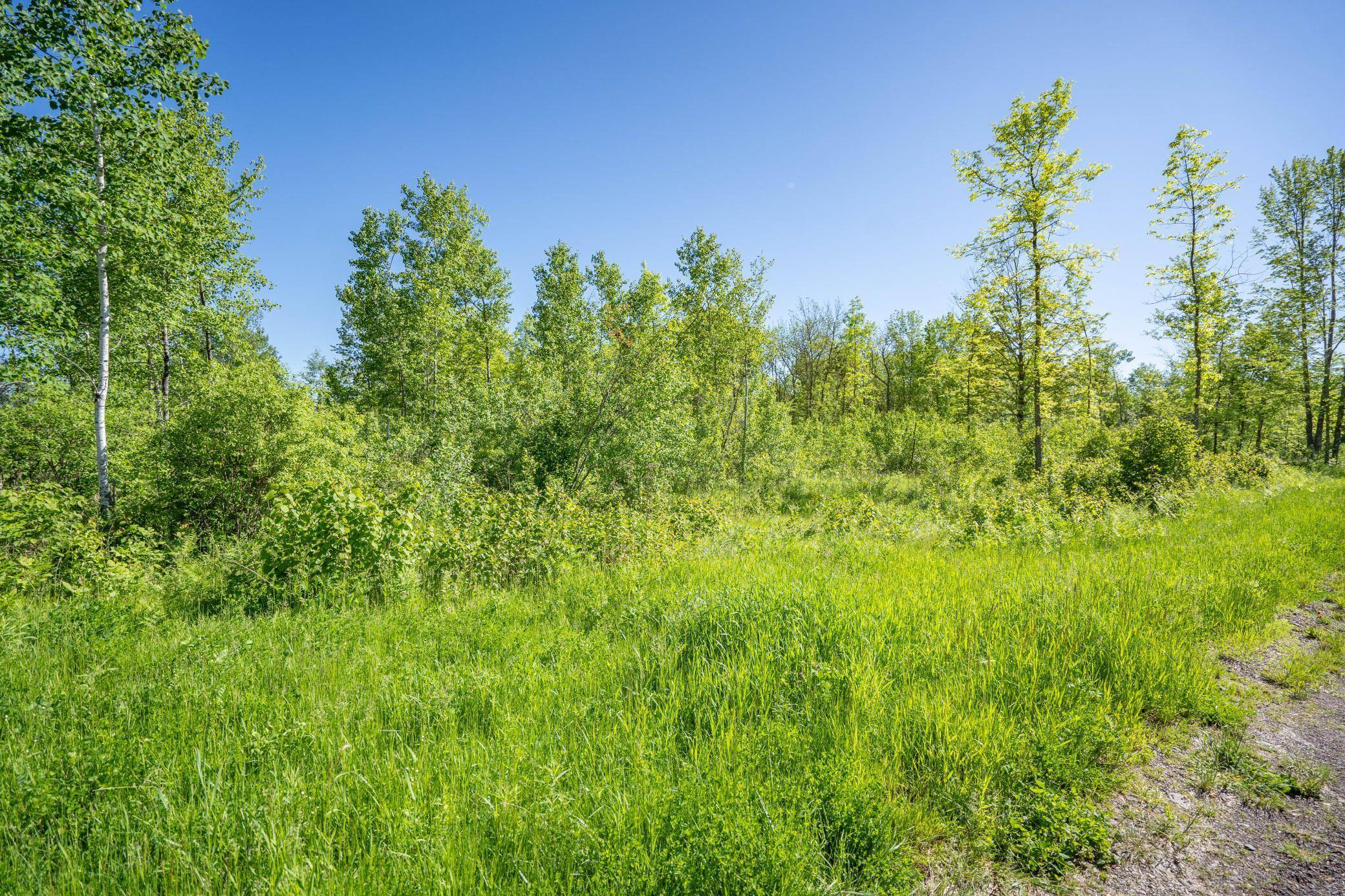 Duluth, MN 55811,XXXX Rycor LN