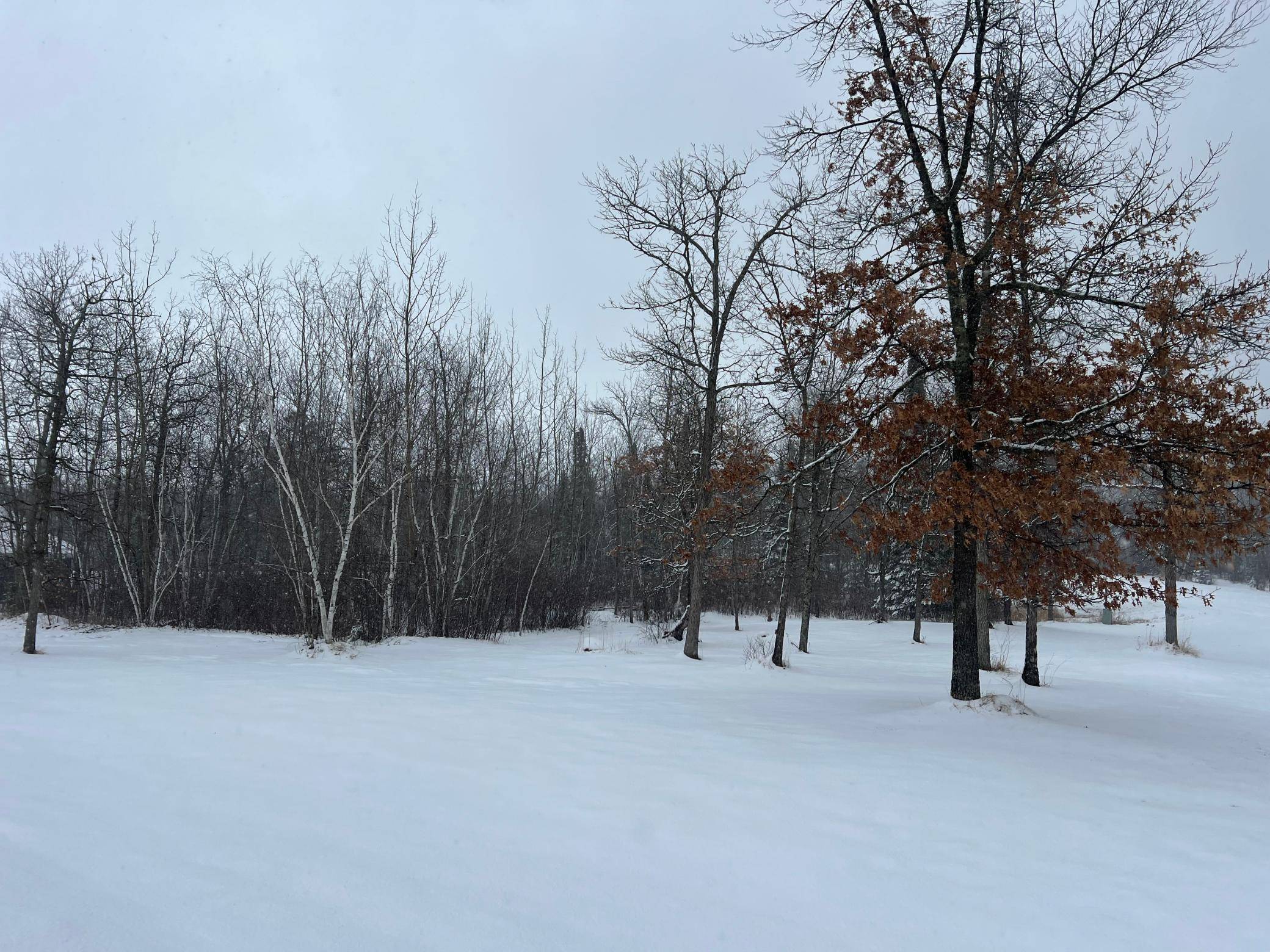 Walker, MN 56484,TBD Kabekona RDG