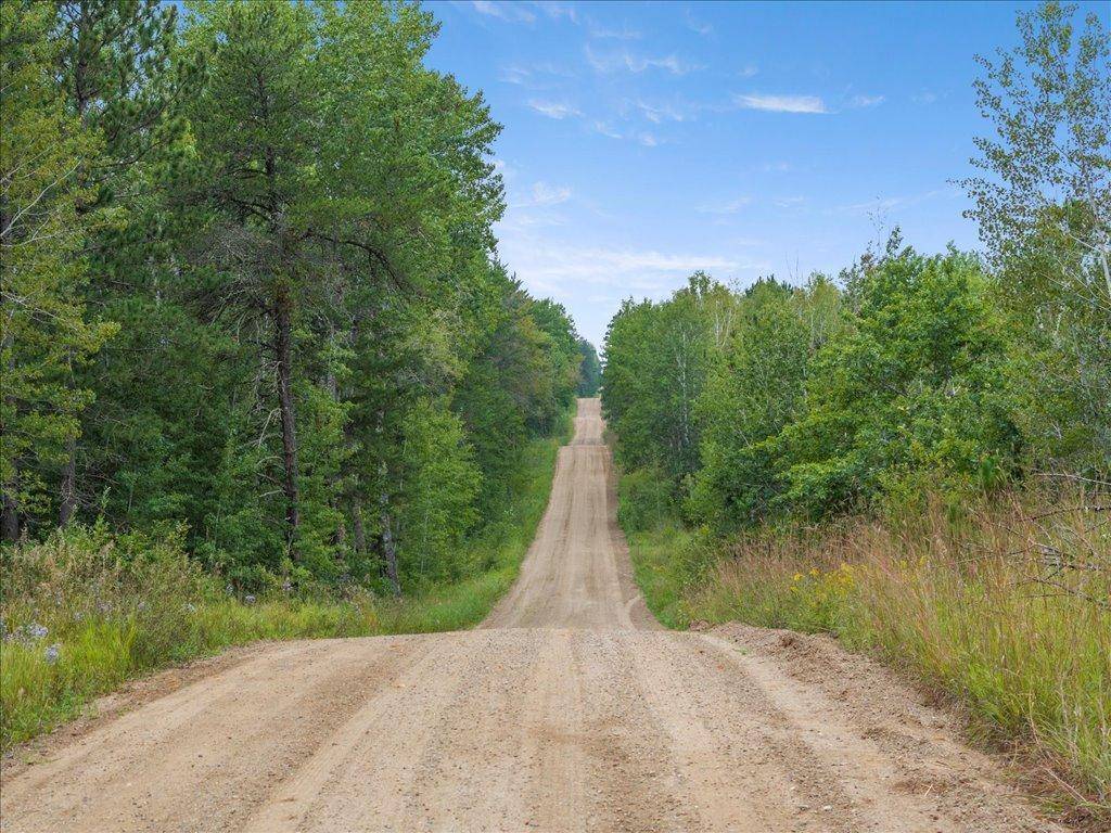 Park Rapids, MN 56470,TBD 290th Street