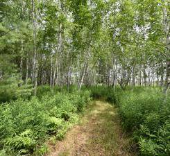 Sandstone, MN 55072,18625 Skunk Lake RD